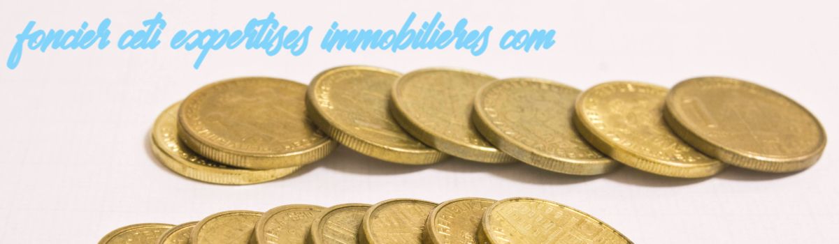 foncier.ceti-expertises-immobilieres.com